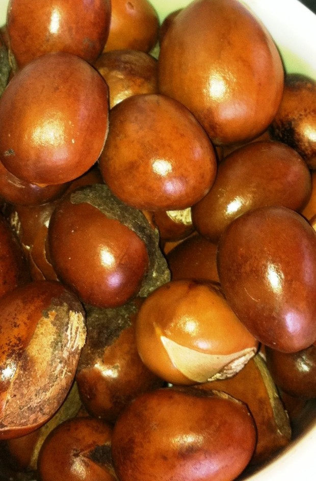 Shea butter comes from the shea nut, which is crushed and manually processed. (Photo copyright: Karethic Bénin)